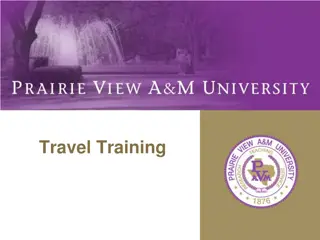 Comprehensive Guide to University Business Travel Management