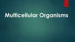 Multicellular Organisms: Structures and Functions