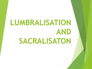 Lumbarisation and Sacralisation in Human Spine