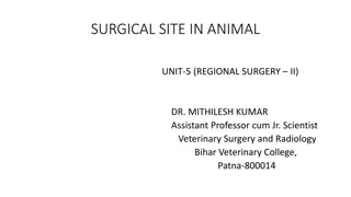 Surgical Sites in Animal Surgery: Techniques and Procedures