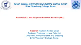 Understanding Selection Strategies in Animal Genetics and Breeding