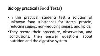 Food Tests in Biology Practical