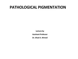 Pathological Pigmentation: Causes and Effects