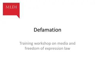 Defamation Laws: Media, Freedom of Expression, and Reputation