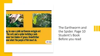 The Earthworm and the Spider: Student Book Insights