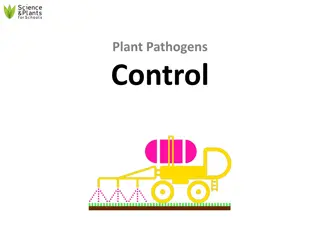 Controlling Plant Pathogens for Sustainable Agriculture