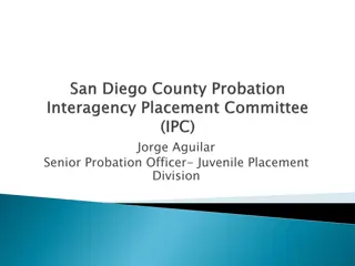 Transitional Placement Program for Juvenile Probation Youth