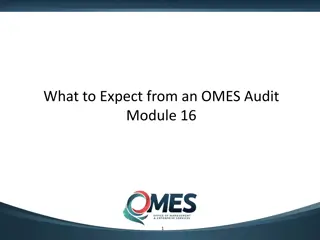 Understanding OMES Audit Module 16.1 Overview