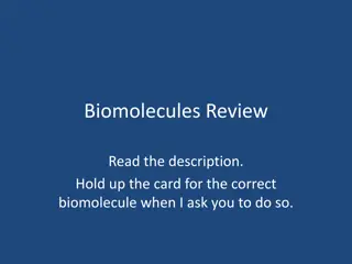 Interactive Biomolecules Review Activity