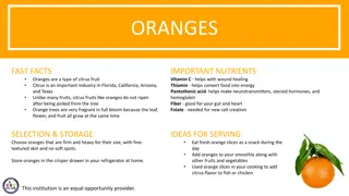 All About Oranges: Nutrients, Selection, Activities, and More