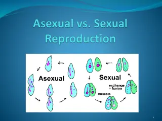 Asexual Reproduction in Organisms