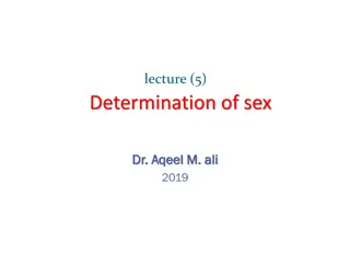 Sex Determination in Organisms