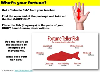 Fun Fortune Fish Experiment and Science Exploration