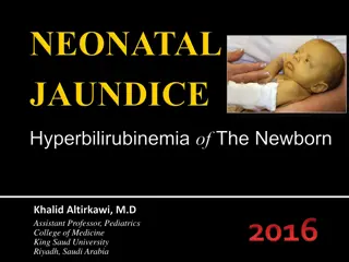 Understanding Neonatal Jaundice: A Guide for Medical Students