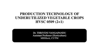 Production Technology of Underutilized Vegetable Crops HVSC 0509 & Sweet Baby Corn