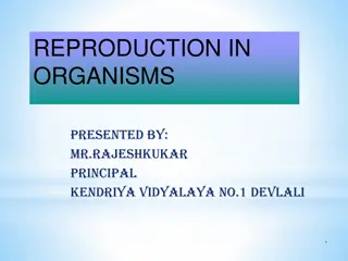 Reproduction in Organisms: Overview and Types