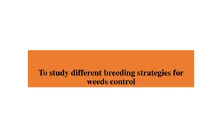 The Importance of Weed Control Strategies in Agriculture