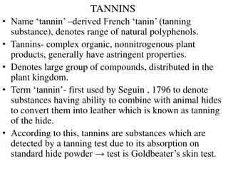 Understanding the Classification of Tannins in Plants