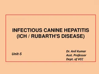 Canine Infectious Hepatitis (ICH) - Overview, Symptoms, and Treatment