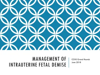 Management of Intrauterine Fetal Demise: Case Study and Clinical Course