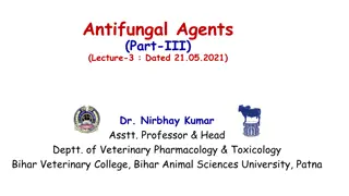 Azole Antifungal Agents for Veterinary Use