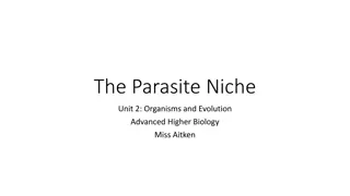 Ecological Niches in Advanced Biology