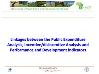 Linkages Between Public Expenditure Analysis and Incentive/Disincentive Analysis in Policy Development