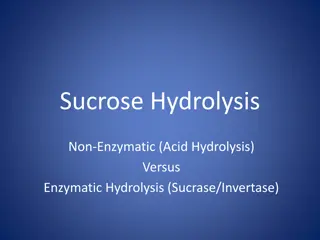 Sucrose Hydrolysis and Reducing Sugars in Carbohydrate Chemistry