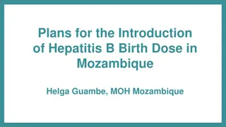 Introduction of Hepatitis B Birth Dose in Mozambique: A Step Towards Comprehensive Prevention