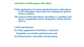 Alterations in Rhizosphere Microflora Due to Chemical Applications