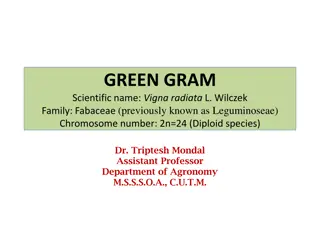 Overview of Green Gram (Vigna radiata L.): Economic Importance, Origin, and Classification