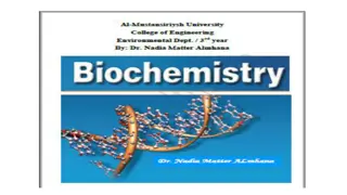 Structure and Role of Amino Acids in Proteins