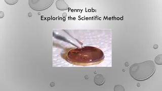 Exploring the Scientific Method: Penny Lab Investigation