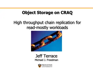 Chain Replication for High Throughput Object Storage