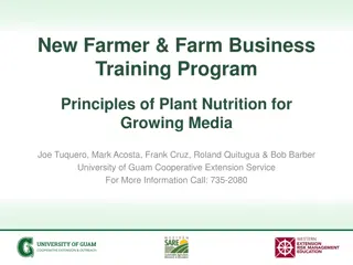 Essential Principles of Plant Nutrition for New Farmers