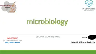 Understanding Antibiotics: Mechanisms of Action and Therapeutic Index