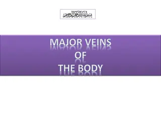 Overview of Veins and Venous Circulation in the Body