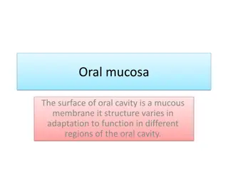 Oral Mucosa: Structure and Classification