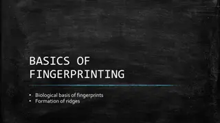 Basics of Fingerprinting: Biological Formation of Ridges