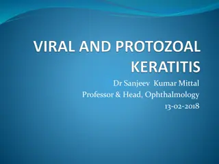 Ocular Herpes Virus: Pathogenesis, Mechanism of Action, and Clinical Features