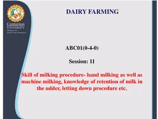 Dairy Farming: Udder Anatomy and Milk Production