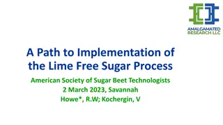 Advancing the Sugar Beet Industry: Lime-Free Process Implementation