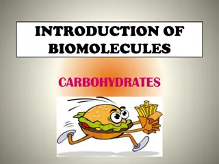 Understanding Carbohydrates: The Essential Biomolecules in Nature