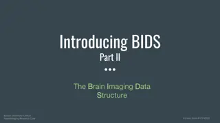 BIDS File Naming Conventions