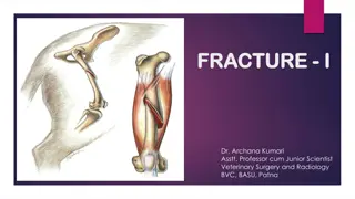 Bone Development and Composition in Veterinary Science