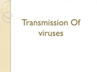 Transmission of Viruses: Routes and Implications