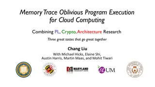 Memory Trace Oblivious Program Execution for Cloud Computing