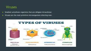 Understanding Viruses: Basics and Morphology