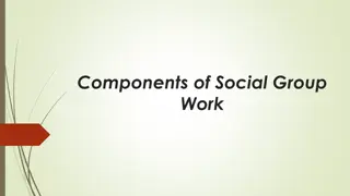 The Components of Social Group Work