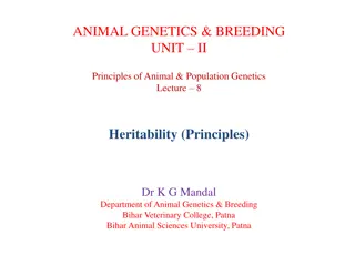 Understanding Heritability in Animal Genetics and Breeding